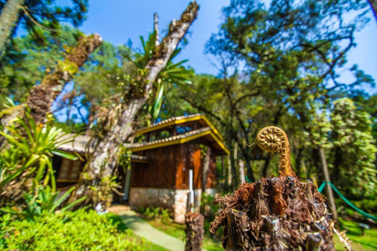 Pousada Villa D'Amore Monte Verde Extérieur photo
