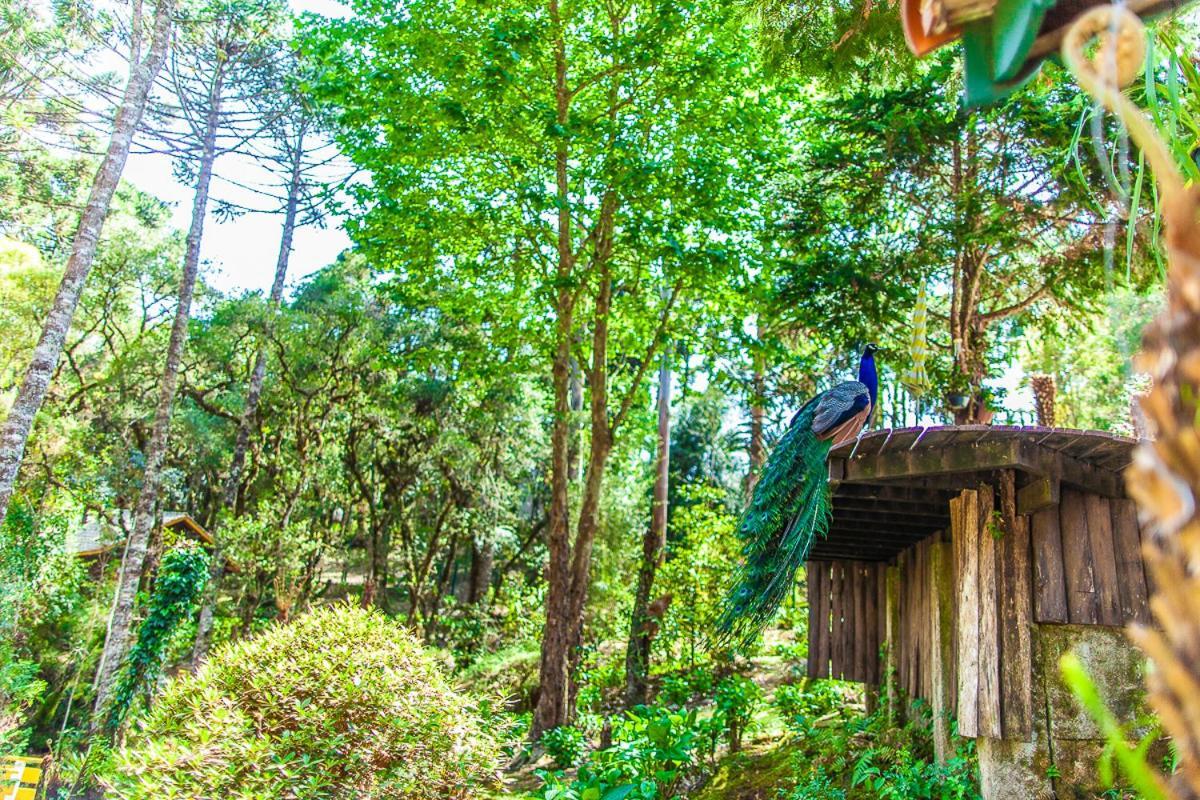 Pousada Villa D'Amore Monte Verde Extérieur photo
